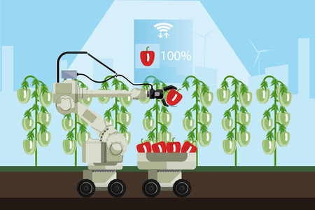 Robot sweeper picks sweet pepper. Smart farming. Technology in agriculture.のイラスト素材