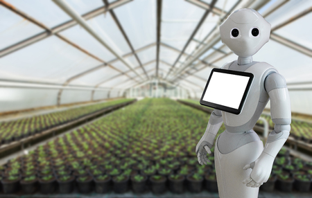 The robot is working in a greenhouse. Smart farming and digital agricultureの写真素材