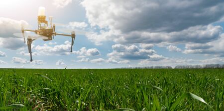 Drone sprayer flies over a wheat field