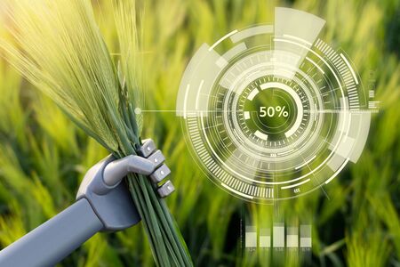 Robot holds ears of rye in his hand