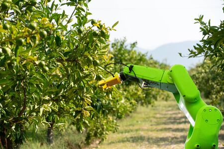 Robot arm is working in the smart farmの写真素材