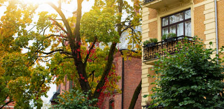Autumn city street in Europeの写真素材