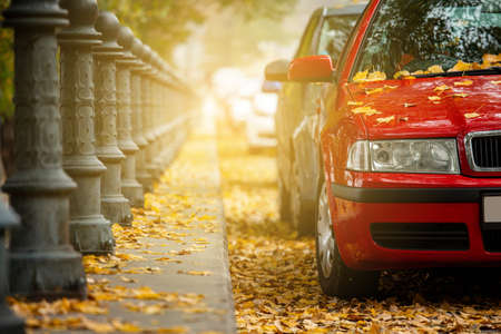 Cars parked on the street. Autumn in the cityの写真素材