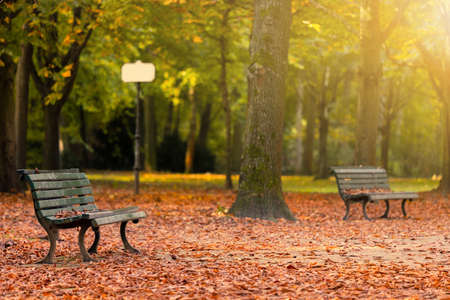 Wooden bench in autumn city public parkの写真素材
