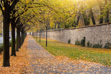 Autumn city public park in Europe