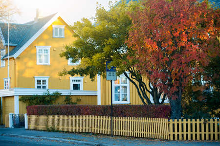 Autumn city streetの写真素材