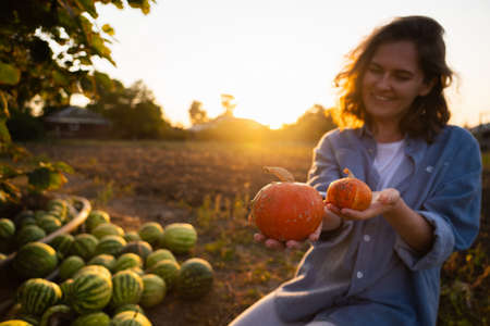 Farmer with pumpkin on a pumpkins field at sunset