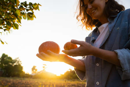Farmer with pumpkin on a pumpkins field at sunsetの写真素材