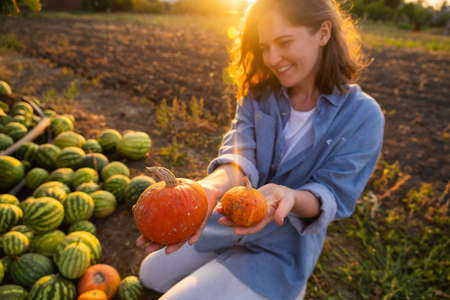 Farmer with pumpkin on a pumpkins field at sunset