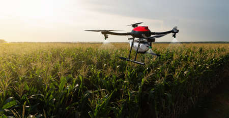 Drone sprayer flies over the agricultural field. Smart farming and precision agriculture