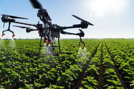Drone sprayer flies over the agricultural field. Smart farming and precision agricultureの写真素材