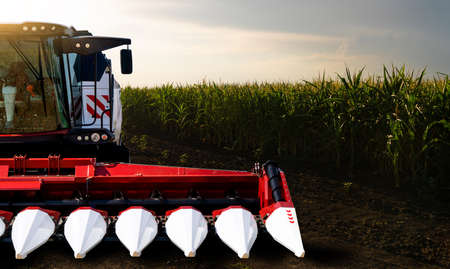 Combine harvester for harvest cornの写真素材