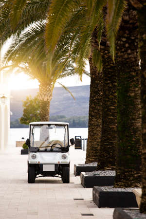 Pleasure craft electric carの写真素材