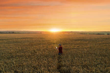 Farmer with digital tablet on a wheat field. Smart farming and digital transformation in...