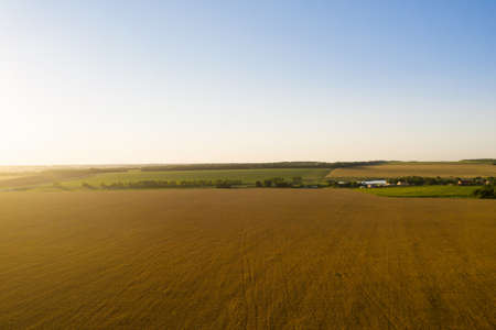 Ripe wheat field at sunset. Aerial view