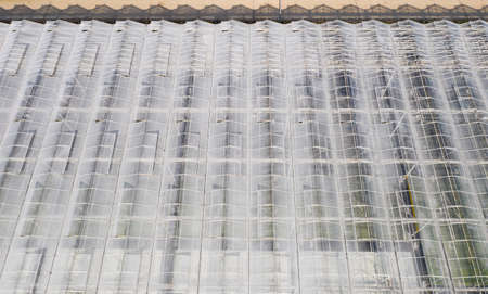 Industrial agricultural greenhouses for growing vegetables. Aerial viewの写真素材