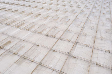 Industrial agricultural greenhouses for growing vegetables. Aerial viewの写真素材