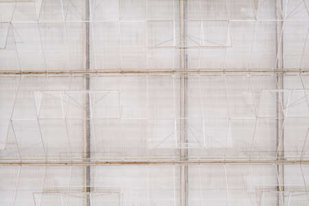 Industrial agricultural greenhouses for growing vegetables. Aerial viewの写真素材