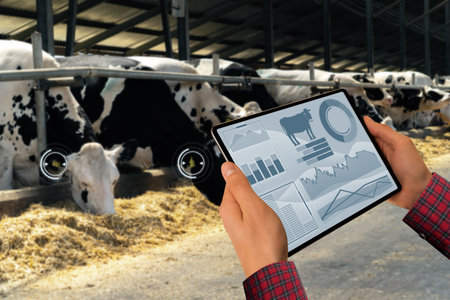 Farmer with tablet computer inspects cows at a dairy farmの写真素材
