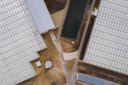 Industrial agricultural greenhouses for growing vegetables. Aerial viewの写真素材