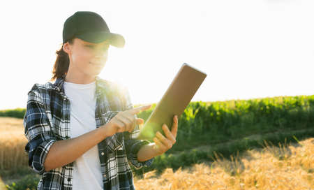 Farmer examines the field of cereals and sends data to the cloud from the tablet. Smart farming and digital agriculture.の写真素材