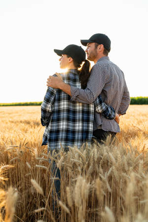 A couple of farmers in plaid shirts and caps stand embracing on agricultural field of wheat at sunsetの写真素材
