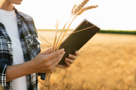 Farmer examines the field of cereals and sends data to the cloud from the tablet. Smart farming and...