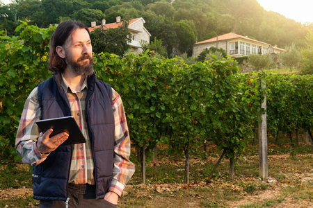 Farmer with digital tablet on a vineyard. Smart farming and agriculture 4.0.
