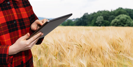 Farmer examines the field of cereals and sends data to the cloud from the tablet. Smart farming and digital agriculture.の写真素材