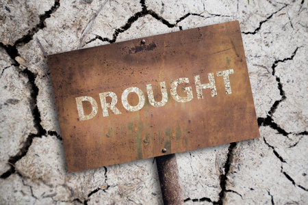 A rusty sign with the inscription DROUGHT on the background of a desert with cracked soil. High quality photoの写真素材