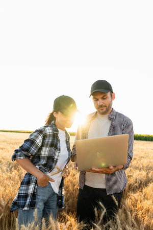 Couple of farmers examines the field of cereals and sends data to the cloud from laptop. Smart farming and digital agriculture.の写真素材