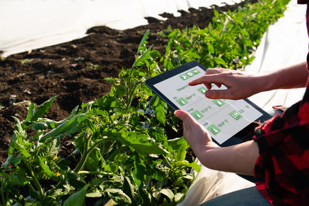 A woman farmer with digital tablet on a tomato field. Smart farming and digital transformation in agriculture. High quality photoの写真素材