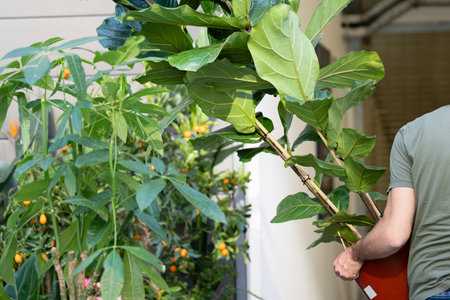 Man with a flower in a flower shopの写真素材