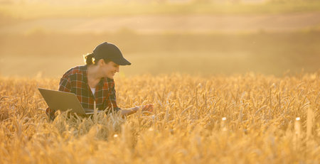 Woman farmer working with laptop on wheat field. Smart farming and digital agriculture.の写真素材