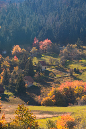 Autumn landscape with country housesの写真素材