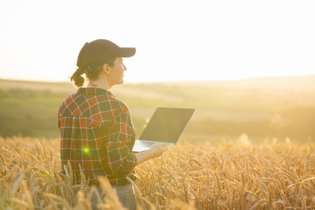 Woman farmer working with laptop on wheat field. Smart farming and digital agriculture..の写真素材