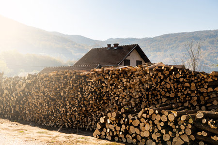 A stack of firewoodの写真素材