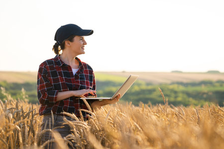 Woman farmer working with laptop on wheat field. Smart farming and digital agriculture