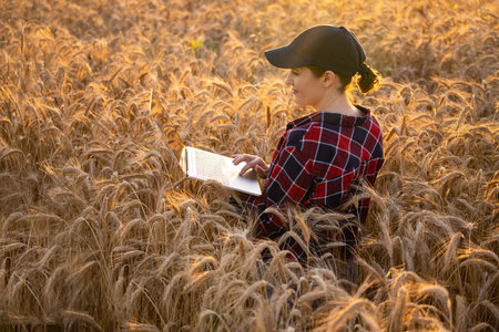 Woman farmer working with laptop on wheat field. Smart farming and digital agriculture