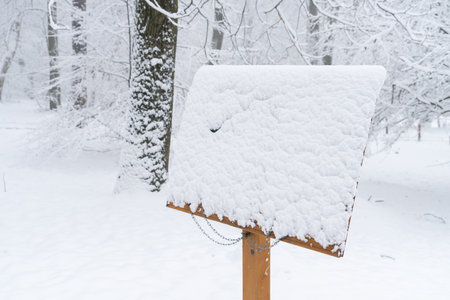 Wooden sign board in the snowy park.の写真素材