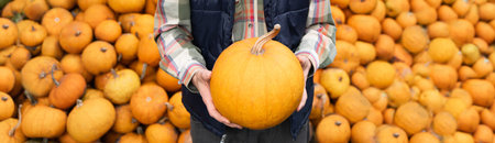 Bearded farmer with pumpkin on a background of a pile of pumpkins.の写真素材