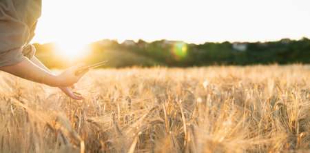 Farmer with a digital tablet touching ears of wheat on the field.