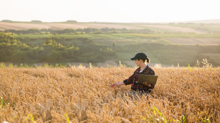 Woman farmer working with laptop on wheat field. Smart farming a