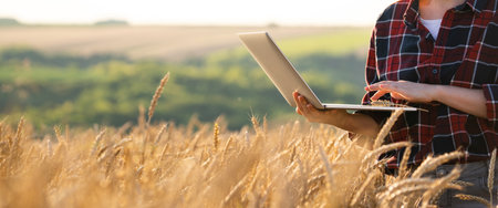 Woman farmer working with laptop on wheat field. Smart farming and digital agriculture.の写真素材
