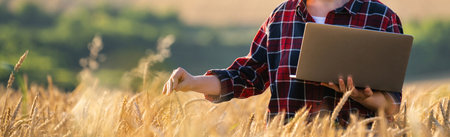 Female farmer working with laptop on wheat field. Smart farming and digital agriculture...