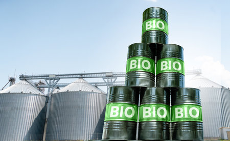 Carbon neutral bio fuel decarbonization concept