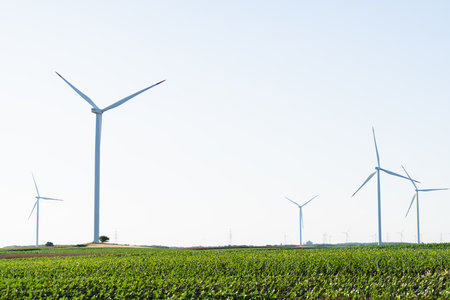 Agricultural field with wind turbines.