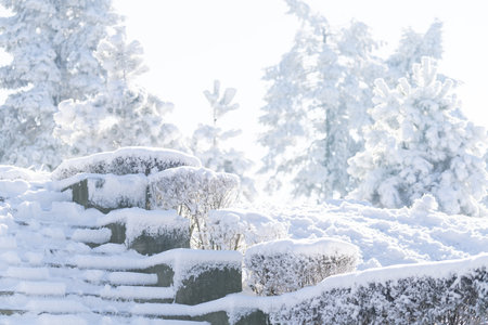 Park in the top of the mountain in winter.の写真素材