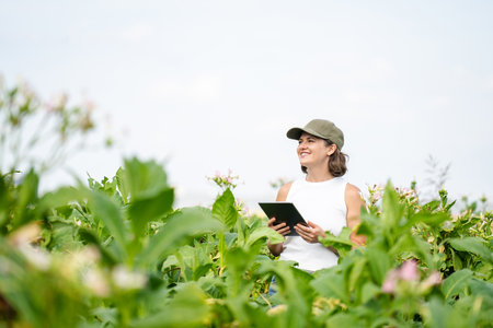 Female farmer with digital tablet on a tobacco field.の写真素材