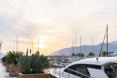 Luxury yachts moored to the pier in the marina.の写真素材